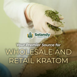 Your Premier Source for Wholesale and Retail Kratom