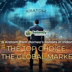 Why is Kratom from Borneo’s Forests in Indonesia the Top Choice in the Global Market?