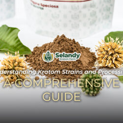 Understanding Kratom Strains and Processing: A Comprehensive Guide