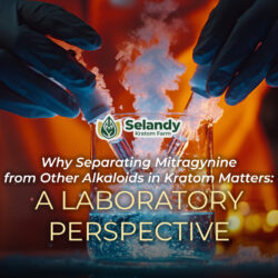 Why Separating Mitragynine from Other Alkaloids in Kratom Matters: A Laboratory Perspective