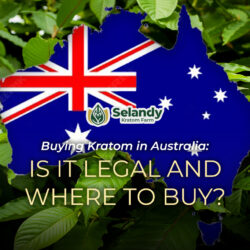 Buying Kratom in Australia: Is it Legal and Where to Buy?