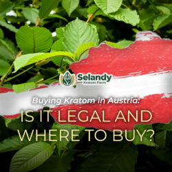 Buying Kratom in Austria: Is it Legal and Where to Buy?
