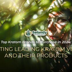 Top Kratom Brands to Purchase in 2024: Evaluating Leading Kratom Vendors and Their Products