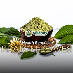 7 Health Benefits of Kratom Leaves