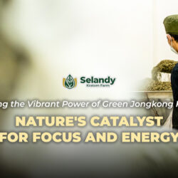 Unveiling the Vibrant Power of Green Jongkong Kratom: Nature’s Catalyst for Focus and Energy