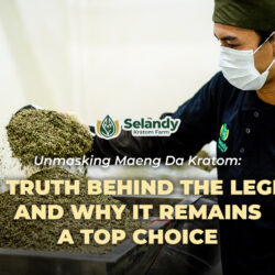 Unmasking Maeng Da Kratom: The Truth Behind the Legend and Why It Remains a Top Choice