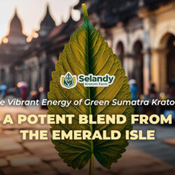 The Vibrant Energy of Green Sumatra Kratom: A Potent Blend from the Emerald Isle