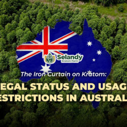 The Iron Curtain on Kratom: Legal Status and Usage Restrictions in Australia
