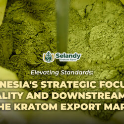 Elevating Standards: Indonesia’s Strategic Focus on Quality and Downstreaming in the Kratom Export Market