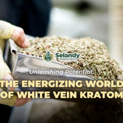 Unleashing Potential: The Energizing World of White Vein Kratom