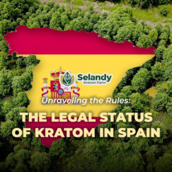 Unraveling the Rules: The Legal Status of Kratom in Spain