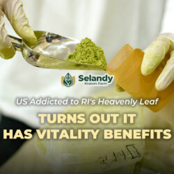 US Addicted to RI’s Heavenly Leaf, Turns Out It Has Vitality Benefits