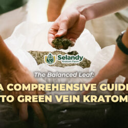 The Balanced Leaf: A Comprehensive Guide to Green Vein Kratom