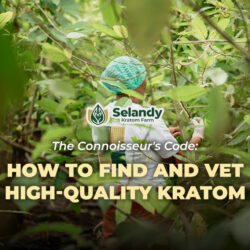 The Connoisseur’s Code: How to Find and Vet High-Quality Kratom