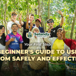Your First Step: A Beginner’s Guide to Using Kratom Safely and Effectively
