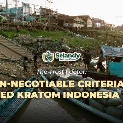 The Trust Factor: 7 Non-Negotiable Criteria for a Trusted Kratom Indonesia Vendor