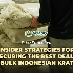 Price Perfection: Insider Strategies for Securing the Best Deals on Bulk Indonesian Kratom