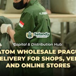 Capital & Distribution Hub: Kratom Wholesale Prague – Fast Delivery for Shops, Vendors, and Online Stores