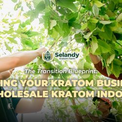 The Transition Blueprint: Moving Your Kratom Business to Wholesale Kratom Indonesia