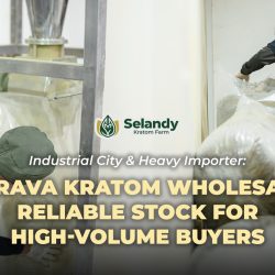 Industrial City & Heavy Importer: Ostrava Kratom Wholesale – Reliable Stock for High-Volume Buyers
