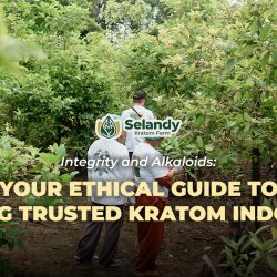 Integrity and Alkaloids: Your Ethical Guide to Finding Trusted Kratom Indonesia