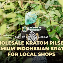 City of Trade & Retail: Wholesale Kratom Pilsen – Premium Indonesian Kratom for Local Shops