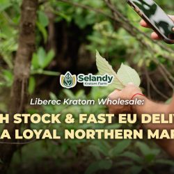 Liberec Kratom Wholesale: Fresh Stock & Fast EU Delivery for a Loyal Northern Market