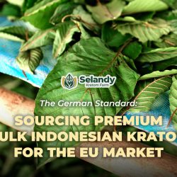The German Standard: Sourcing Premium Bulk Indonesian Kratom for the EU Market