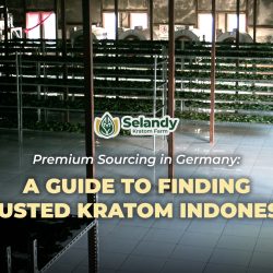Premium Sourcing in Germany: A Guide to Finding Trusted Kratom Indonesia