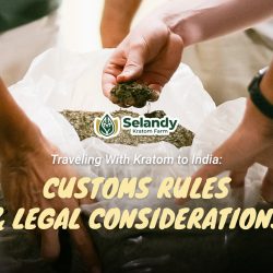 Traveling With Kratom to India: Customs Rules & Legal Considerations