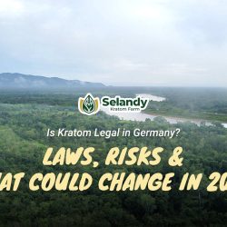 Is Kratom Legal in Germany? Laws, Risks & What Could Change in 2026