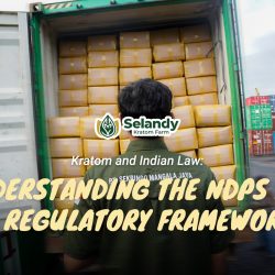 Kratom and Indian Law: Understanding the NDPS Act & Regulatory Framework