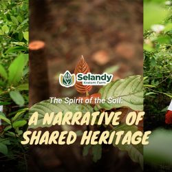 The Spirit of the Soil: A Narrative of Shared Heritage