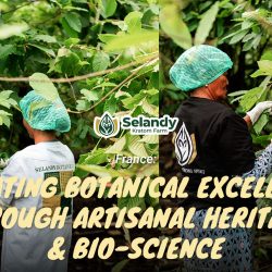 France: Elevating Botanical Excellence through Artisanal Heritage and Bio-Science