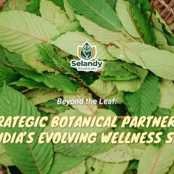 Beyond the Leaf: A Strategic Botanical Partnership for India’s Evolving Wellness Sector