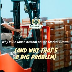 Why Is So Much Kratom on the Market Brown? (And Why That’s a Big Problem)