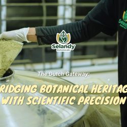 The Dutch Gateway: Bridging Botanical Heritage with Scientific Precision