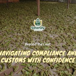 Beyond the Leaf: Navigating Compliance and Customs with Confidence