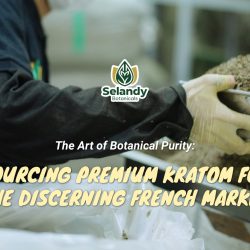 The Art of Botanical Purity: Sourcing Premium Kratom for the Discerning French Market
