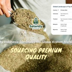 Why Indonesia Dominates the Global Kratom Market: Sourcing Premium Quality