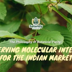 The Philosophy of Botanical Purity: Preserving Molecular Integrity for the Indian Market