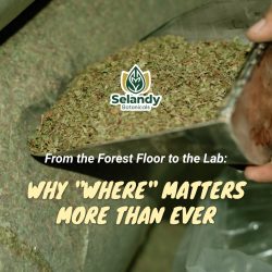 From the Forest Floor to the Lab: Why “Where” Matters More Than Ever