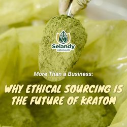 More Than a Business: Why Ethical Sourcing Is the Future of Kratom