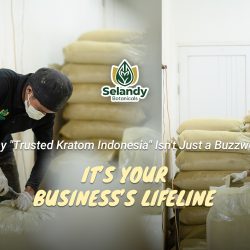 Why “Trusted Kratom Indonesia” Isn’t Just a Buzzword—It’s Your Business’s Lifeline