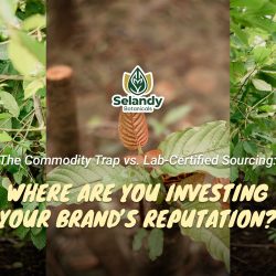 The Commodity Trap vs. Lab-Certified Sourcing: Where Are You Investing Your Brand’s Reputation?