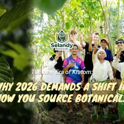 The New Era of Kratom: Why 2026 Demands a Shift in How You Source Botanicals