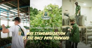 The Kratom Industry in 2026: Why Standardization is the Only Path Forward