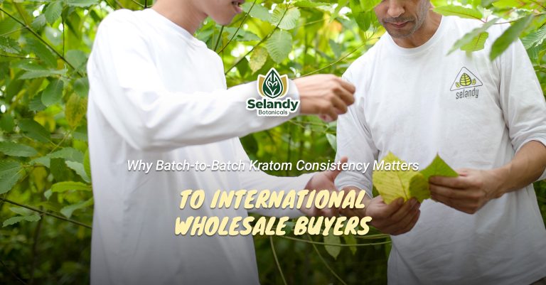Why Batch-to-Batch Kratom Consistency Matters to International Wholesale Buyers