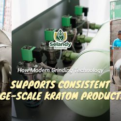 How Modern Grinding Technology Supports Consistent Large-Scale Kratom Production
