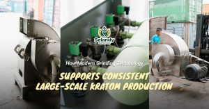 How Modern Grinding Technology Supports Consistent Large-Scale Kratom Production